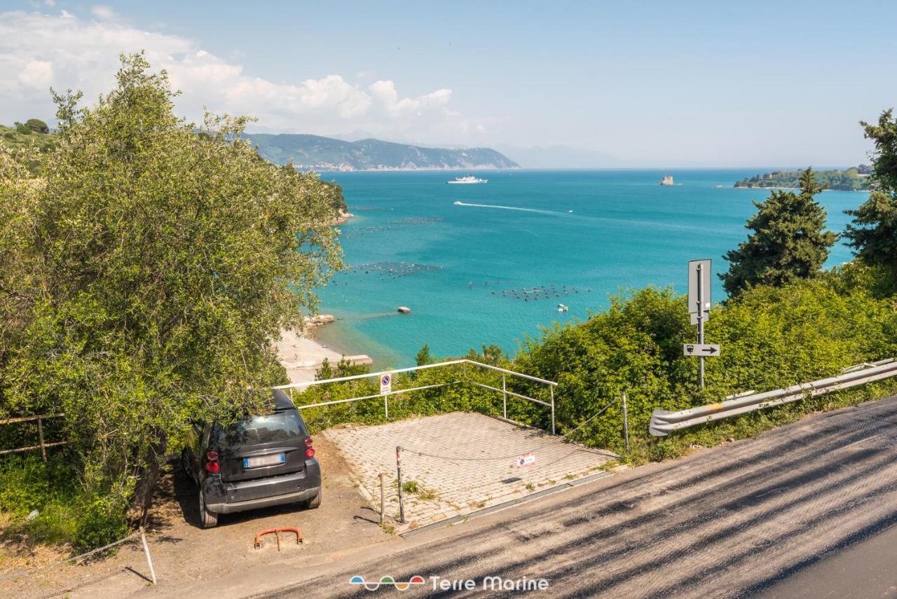 Torre Scola, Terre Marine *